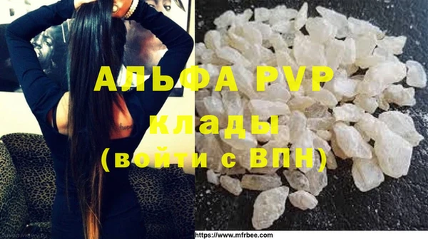 apvp Белокуриха