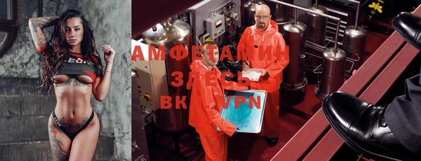 apvp Белокуриха