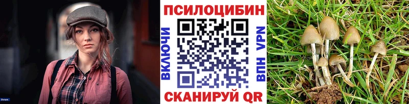 цены Красноперекопск mega вход Галлюциногенные грибы MAGIC MUSHROOMS